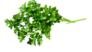 parsley