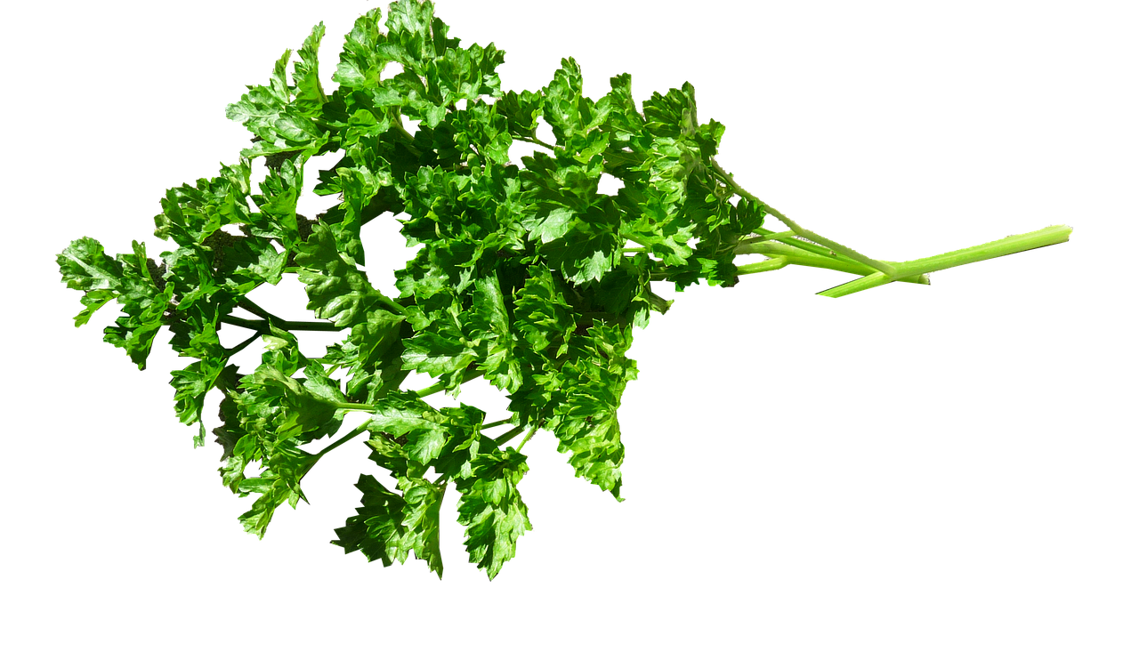 parsley