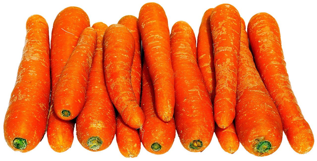 carrot