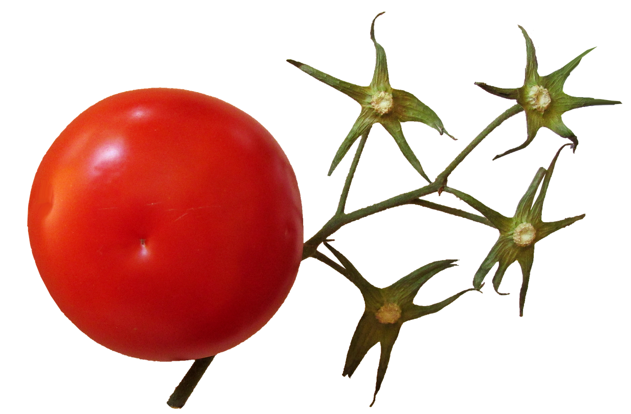 tomato